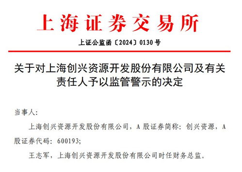 V觀財報｜創興資源財報信披不準遭監管警示，信息服務業務成焦點